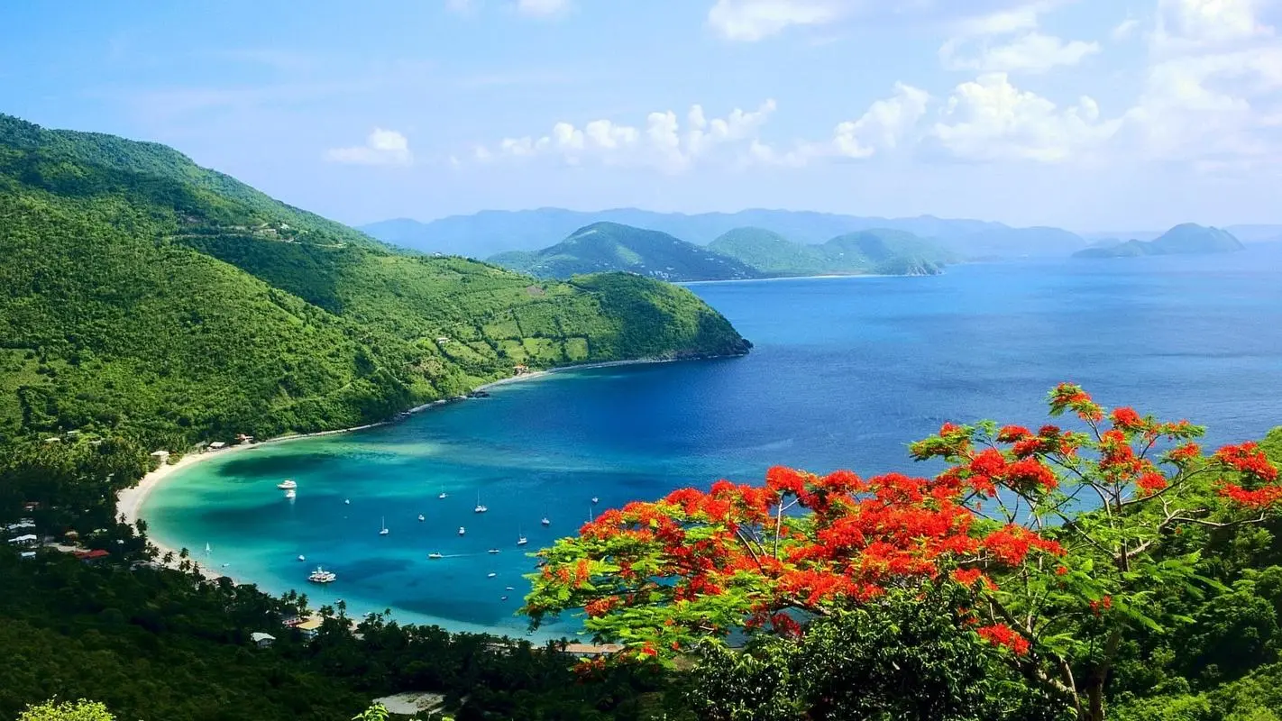 高端高效